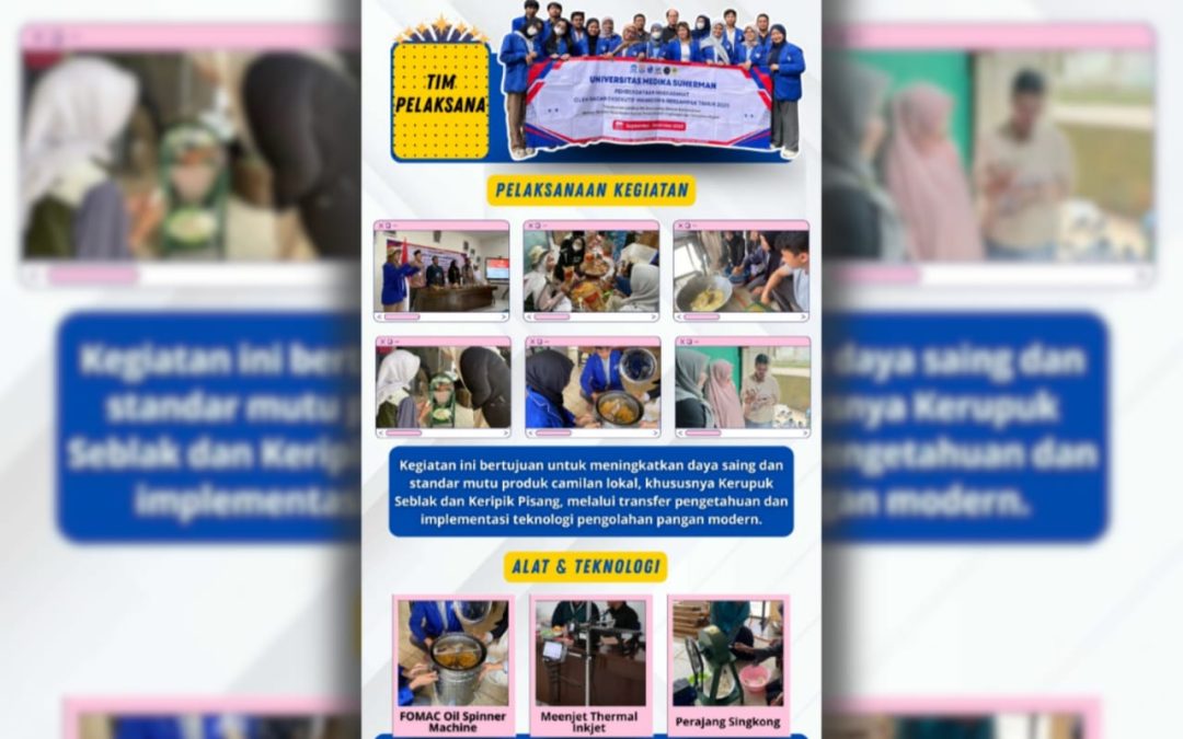 Luaran Karya Visual PM-BEM UMEDS 2025